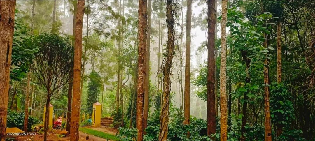 Sp Resort Inn Yercaud Εξωτερικό φωτογραφία